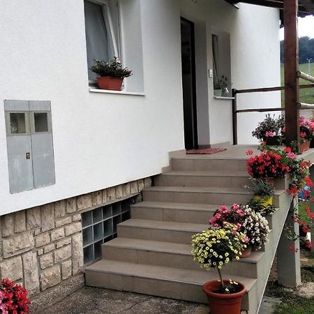 Guesthouse Bor Plitvice Lakes Plitvička Jezera Exteriör bild